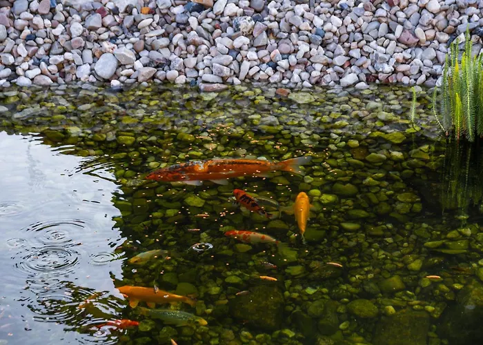 Kokorin Apartments Apartament Kokorin